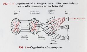 Diagram from Frank Rosenblatt's originally published work describing the Perceptron.
